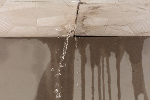 Professional Structural Drying technician working in New London, WI